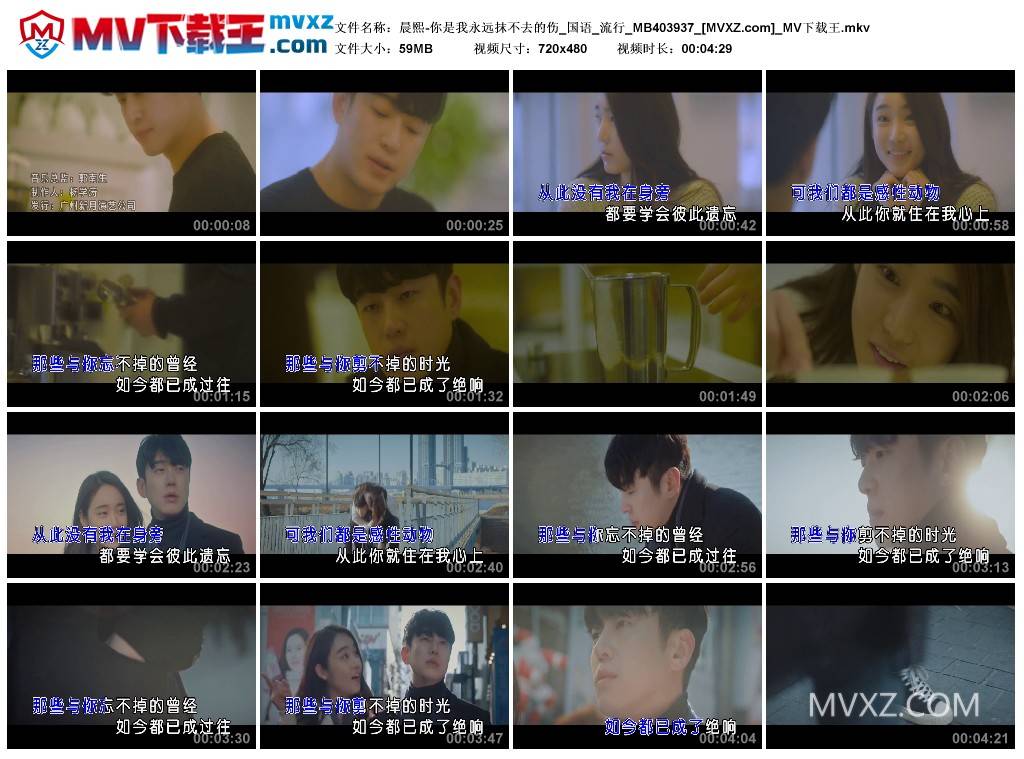 晨熙-你是我永远抹不去的伤_国语_流行_MB403937